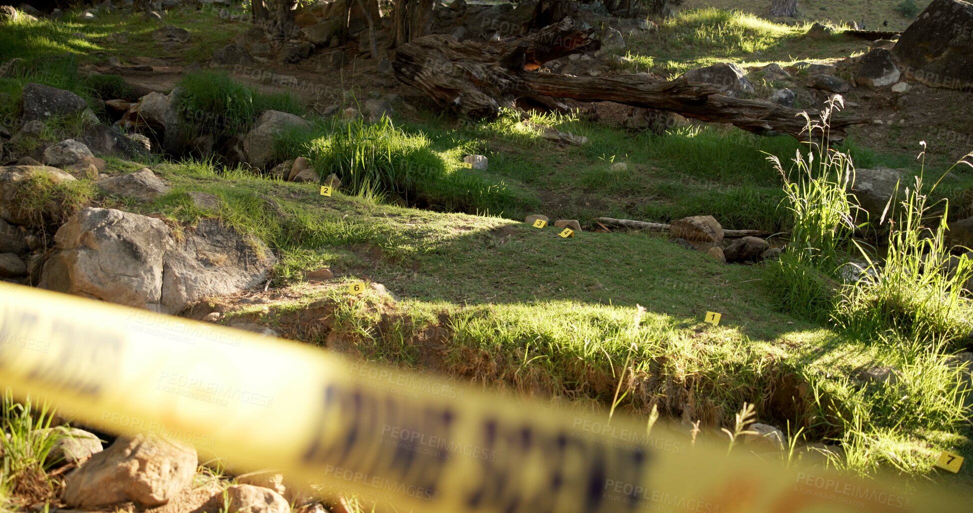 Buy stock photo Crime scene, outdoor and forest for investigation, police and forensic background with yellow tape and lens flare. Security, inspection and search for clues or sample in woods or nature by rocks