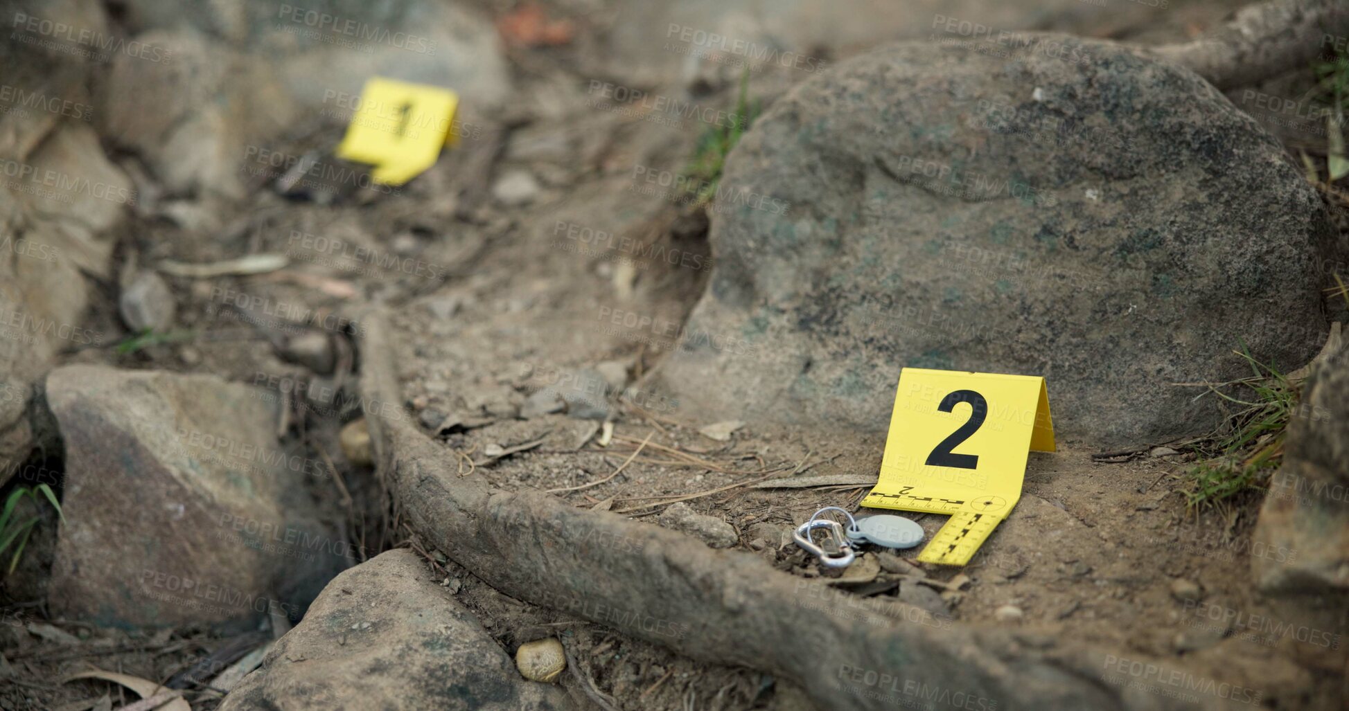Buy stock photo Closeup, evidence marker and forensic for investigation at crime scene with keys on ground or accident location in forest. Yellow numbers, homicide or case research with observation outdoor in woods