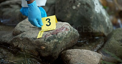 Hands, evidence marker and csi for investigation at crime scene with blood on rocks or gloves for safety in river. Forensic expert, investigator and case research with observation by water stream