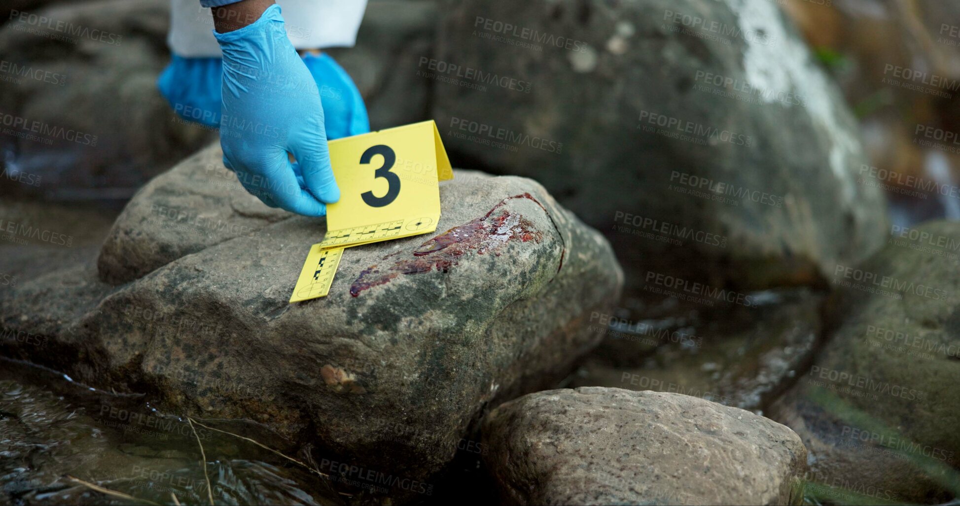 Buy stock photo Hands, evidence marker and csi for investigation at crime scene with blood on rocks or gloves for safety in river. Forensic expert, investigator and case research with observation by water stream