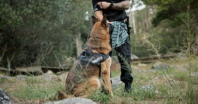 Policeman, sniffer dog or patrol a crime scene on field, first responder or law enforcement for investigation in k9 unit. Emergency response, canine and search for rescue and animal for human scent
