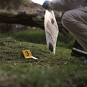 Csi, collect or evidence at crime scene for investigation in forest ...