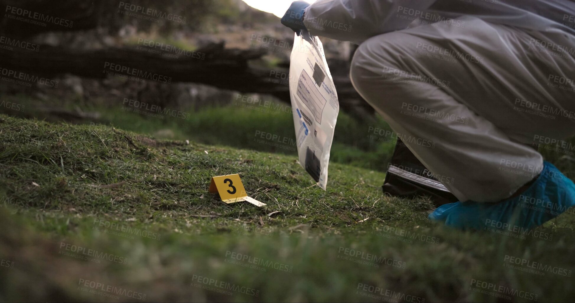 Buy stock photo Csi, collect or evidence at crime scene for investigation in forest with safety bag or protection hazmat.
Forensic career, expert investigator and examination for observation or case research outdoor