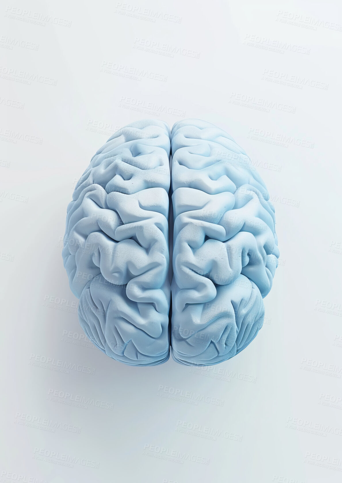 Buy stock photo Model, brain and anatomy with organ, 3d neuroscience and psychology for creativity and research. Learning, growth and intelligence with mind, study and mindset art for education or mental health