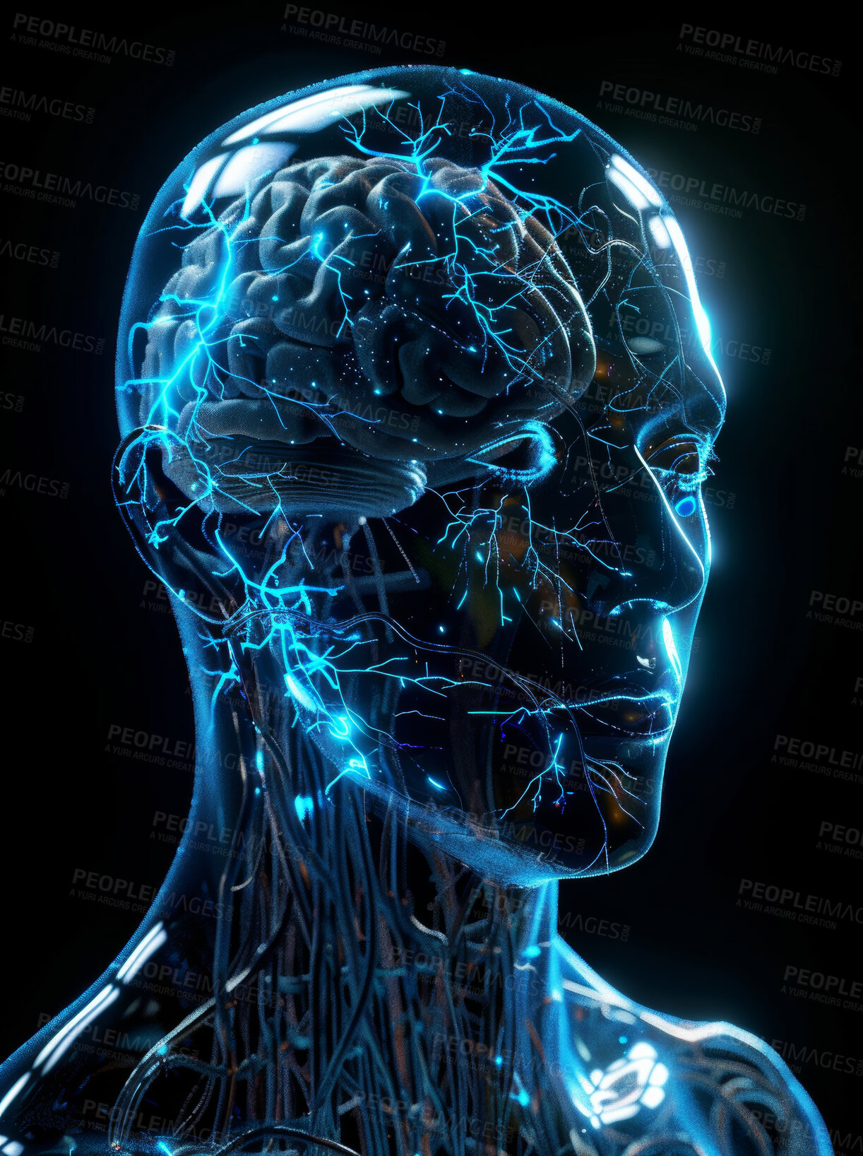 Buy stock photo Science, anatomy or graphic of human brain in study of neurology, thinking or biology research. Black background, development or learning of psychology, neuroscience or mind illustration or knowledge