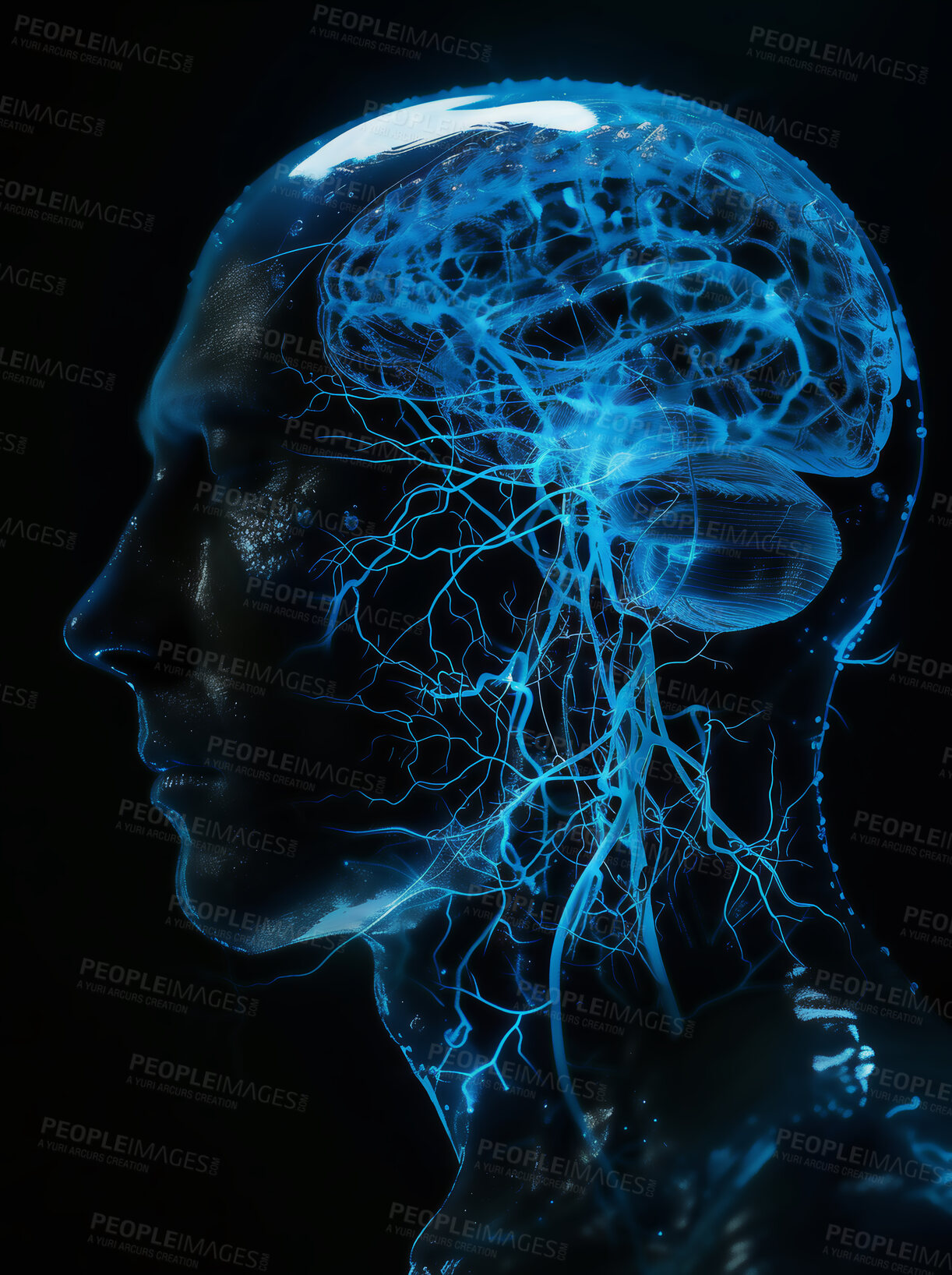 Buy stock photo Science, dark or graphic of human brain for study of neurology, thinking or biology research. Black background, mind or learning of psychology, neuroscience and medical anatomy for nervous system