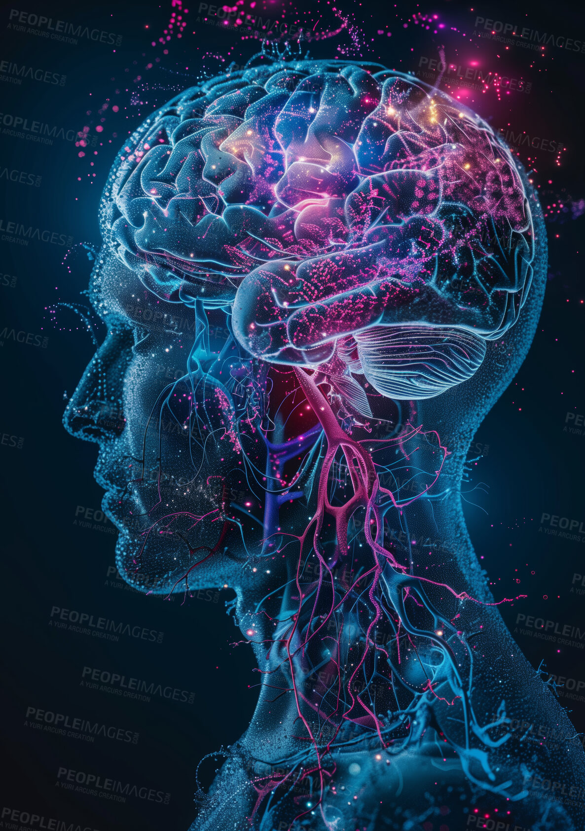 Buy stock photo Science, profile or graphic of brain anatomy in study of neurology, neuroscience or biology research. Black background, development or learning of human psychology or mind illustration or knowledge