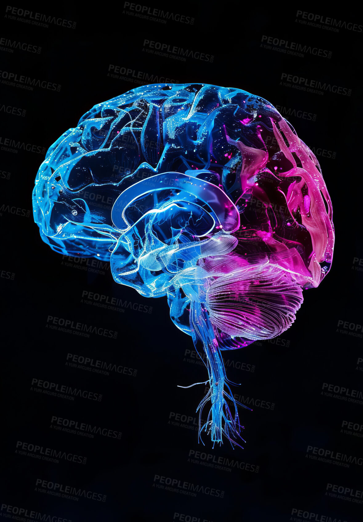 Buy stock photo Human, brain and neon connectivity in abstract, cerebral art and future or hemisphere for idea and creative thinking. Intelligent, network or anatomy for information processing, graphic and neurons