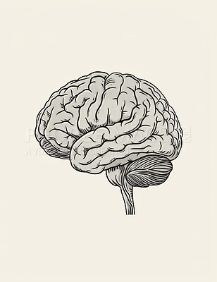 Science, education and abstract illustration of brain for study of neurology and biology research. Creative, mind and learning about human psychology, neuroscience and medical anatomy or knowledge