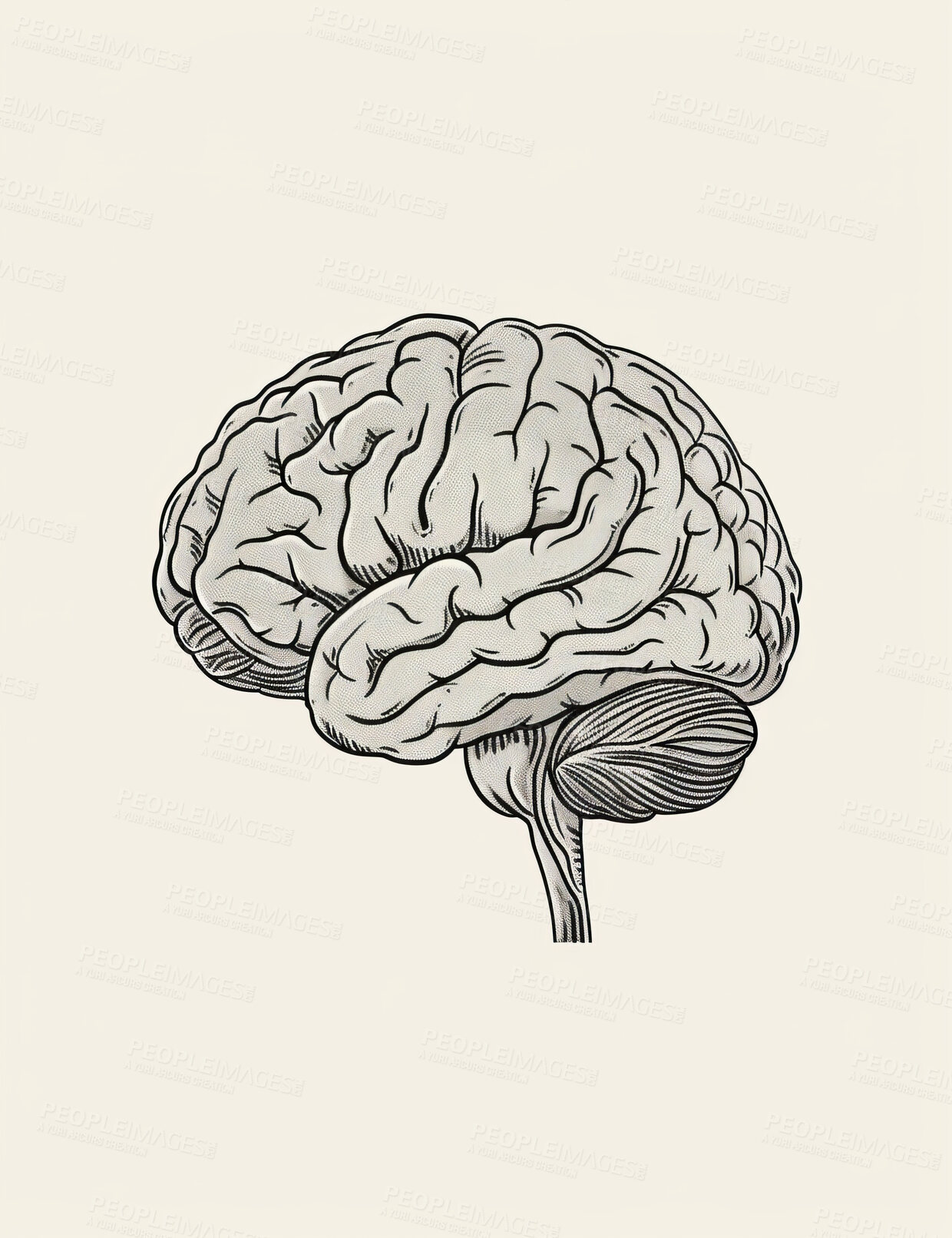 Buy stock photo Science, education and abstract illustration of brain for study of neurology and biology research. Creative, mind and learning about human psychology, neuroscience and medical anatomy or knowledge