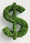 Dollar sign, plant and money growth with profit sustainability in studio or financial economy, mockup or white background. Grass, icon and saving with environment friendly, greenwashing or capitalism