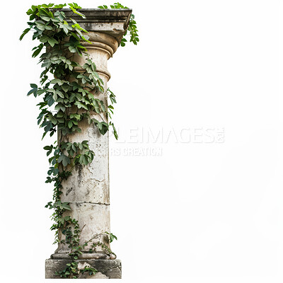 Architecture, vintage column and vine with growth of plant, nature and leaves on ancient stone structure. Greek pillar, arch and sculpture for garden, landmark or classic landscape on studio backdrop