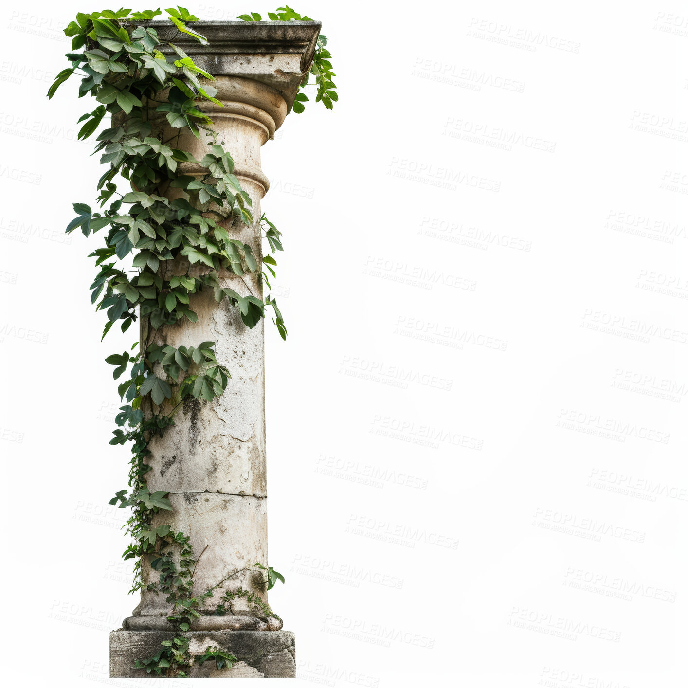 Buy stock photo Architecture, vintage column and vine with growth of plant, nature and leaves on ancient stone structure. Greek pillar, arch and sculpture for garden, landmark or classic landscape on studio backdrop