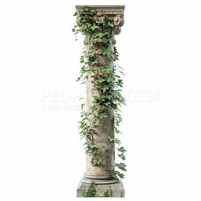 Pillar, vines and greek columns in nature on studio ecology for growing plants, agriculture or white background. Ivy creeper, roman architecture or garden foliage as leaves, mockup space or design