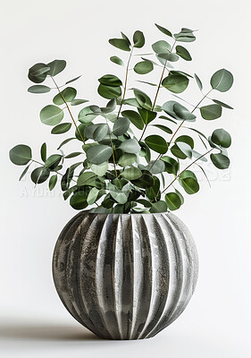 Eucalyptus, pot plant or stone in modern, environment or growth as ecology on white background. Leaves, decor or planter as natural, home or environmental sustainability by carbon capture in spring