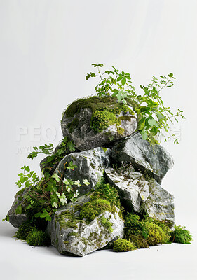 Rock, nature and green, plants and texture, studio and earth, grass and biology, stone and moss. Background, leaves and growth, sustainability and ecology, environmental and ecosystem or closeup