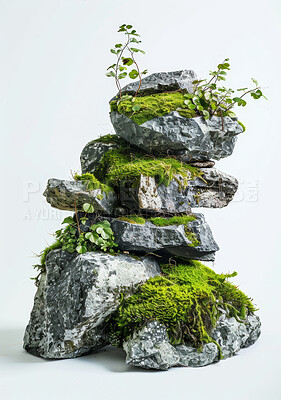 Stones, plants or moss with nature, ecology or environment on white studio background. Empty, rocks or growth with wallpaper or texture with vegetation or peace with leaves or zen with sustainability