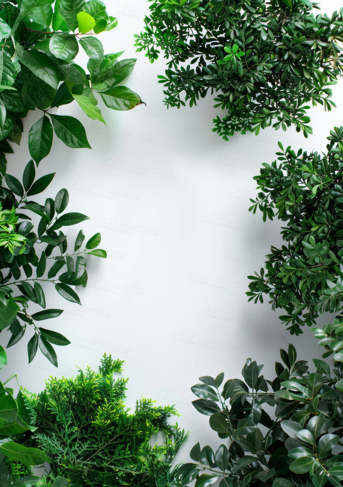 Buy stock photo Studio, plants and natural top for ecology, nature and environmental growth for agriculture. Earth day, sustainable and eco friendly tree for climate change, white background and mockup in spring