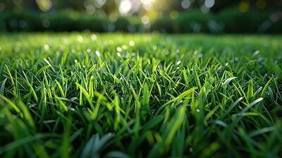 Buy stock photo Grass, closeup and bokeh in nature outdoor at field in the countryside in Switzerland on background. Lawn, park and garden with green plants for ecology, environment and light on summer landscape