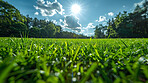 Grass, clouds and sky in nature at field outdoor in the countryside in Sweden on background. Lawn, park or closeup of garden with green plants for ecology, environment or sunshine on summer landscape