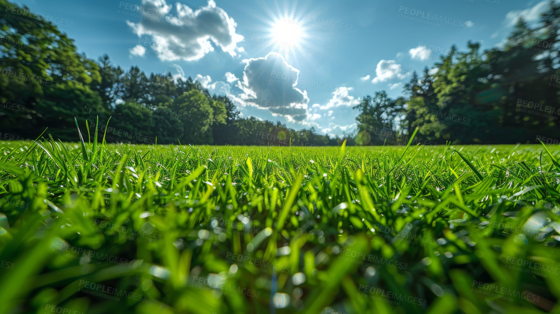 Buy stock photo Grass, clouds and sky in nature at field outdoor in the countryside in Sweden on background. Lawn, park or closeup of garden with green plants for ecology, environment or sunshine on summer landscape
