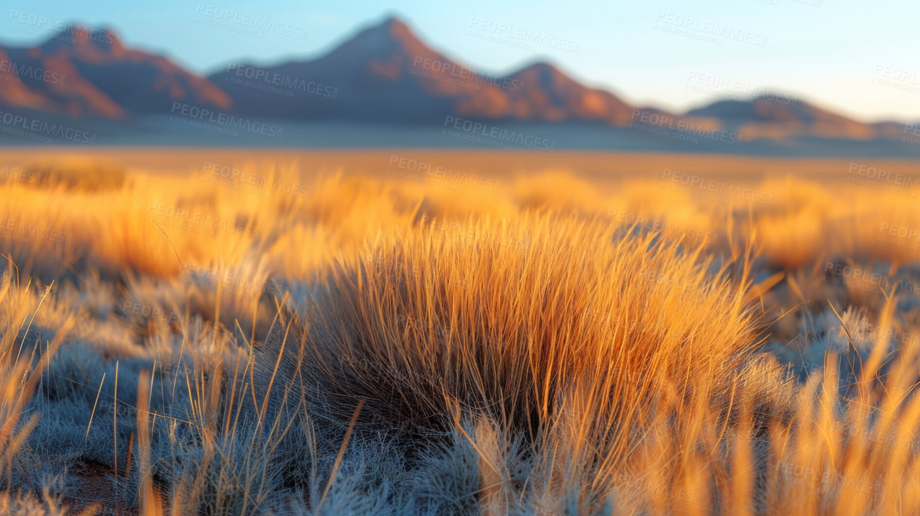 Buy stock photo Grass, mountain and nature landscape or dry desert for traveling exploring, environment or countryside. Summer, sun and hills in Texas for rural vacation with park growth for trip, tour or season