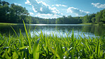 Green grass, lake and nature outdoor in environment with blue sky, clouds or water in Canada. River, park or lawn with plants at garden in the countryside for ecology, summer or closeup on background