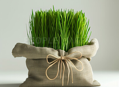 Buy stock photo Brown bag, grass and recycle for sustainability in studio on white background and fresh. Green, nature and ecology for peace or harmony with conservation awareness, environment and eco friendly