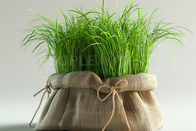 Buy stock photo Brown bag, grass and recycle for environment in studio on isolated white background and fresh. Green, nature and ecology for peace or harmony with conservation awareness, waste and eco friendly