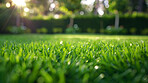 Lawn, closeup and bokeh in nature at field outdoor in the countryside in Sweden on a background. Grass, park and garden with green plants for ecology, environment and sunshine on summer landscape