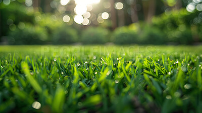 Buy stock photo Closeup, grass and bokeh with sunshine, nature and green growth with outdoor sunrise. Lawn, meadow and environment for summer season, vibrant field and morning background with macro rural garden