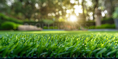 Buy stock photo Closeup, grassland and lawn with sunshine, nature and green growth with outdoor park. Earth, meadow and environment for summer season, vibrant field and green background with macro garden morning