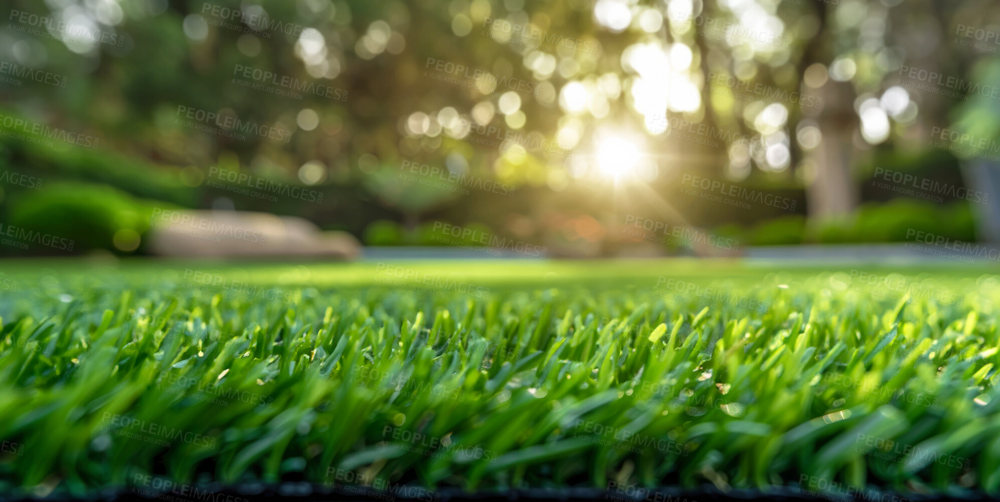 Buy stock photo Closeup, grassland and lawn with sunshine, nature and green growth with outdoor park. Earth, meadow and environment for summer season, vibrant field and green background with macro garden morning