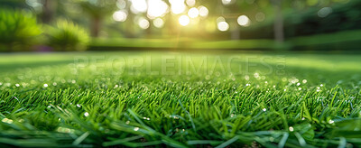 Buy stock photo Closeup, grass and light with sunshine, nature and green growth with outdoor banner. Park lawn, meadow and environment for summer season, vibrant field and background with macro garden landscape