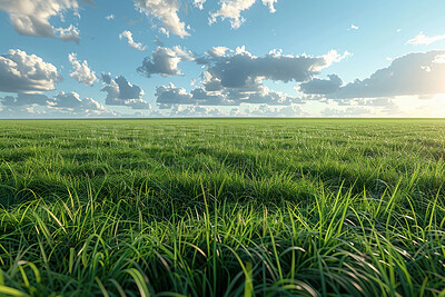 Buy stock photo Grass, clouds and sky in nature at field outdoor in the countryside in Switzerland. Lawn, park and closeup of garden with green plants for ecology, environment and summer landscape on background