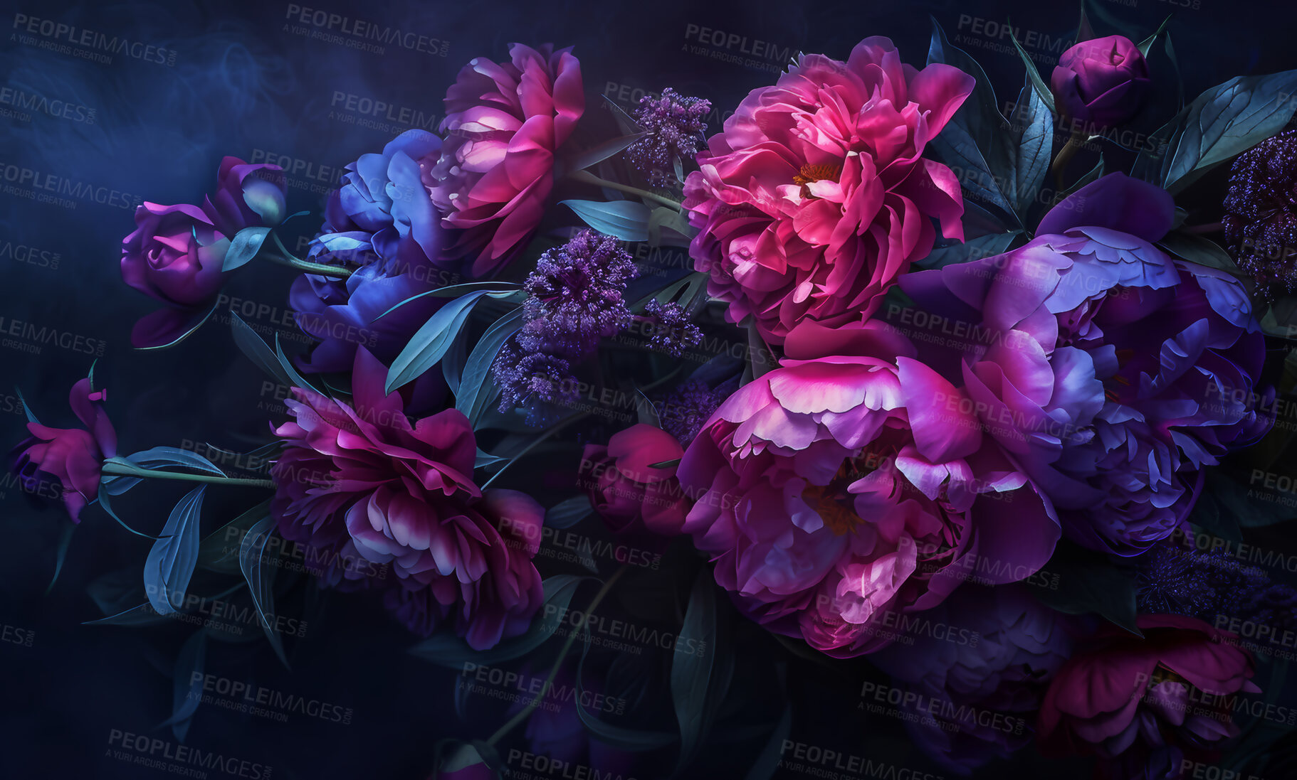 Buy stock photo Flowers, art and 3d wallpaper, dark and floral on black background. Abstract, watercolour and peony blossom color illustration of leaves or plants, botanical and composition with creative bouquet