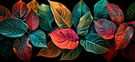 Abstract, plant and tropical with red leaf for nature on black background for growth with sustainability in ecology. Flora, agriculture and botany with green for natural with texture for decoration