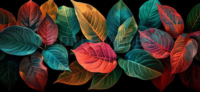 Abstract, plant and tropical with red leaf for nature on black background for growth with sustainability in ecology. Flora, agriculture and botany with green for natural with texture for decoration