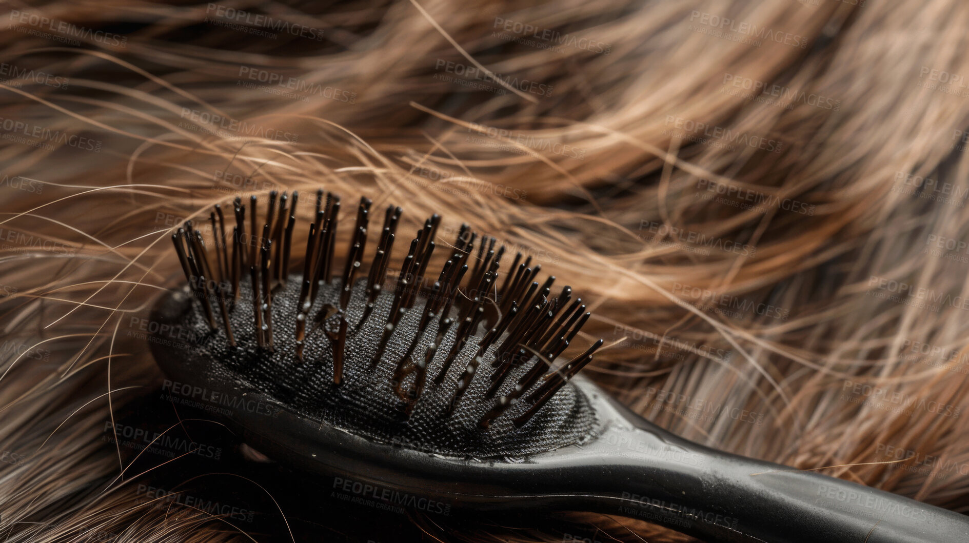 Buy stock photo Hair, beauty and closeup of brush for cosmetics, shampoo or shine, treatment and results. Growth, tools and haircare with brushing equipment for head, scalp and circulation for texture improvement