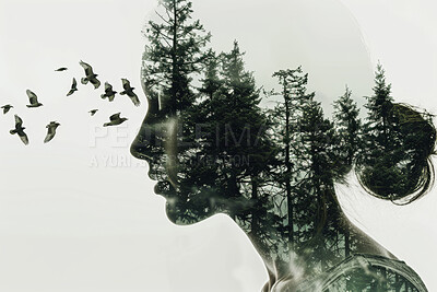 Double exposure, face of woman and birds in nature for abstract, background or concept of conservation. Environment, forest and profile with person in composite ecosystem for art, creative or design