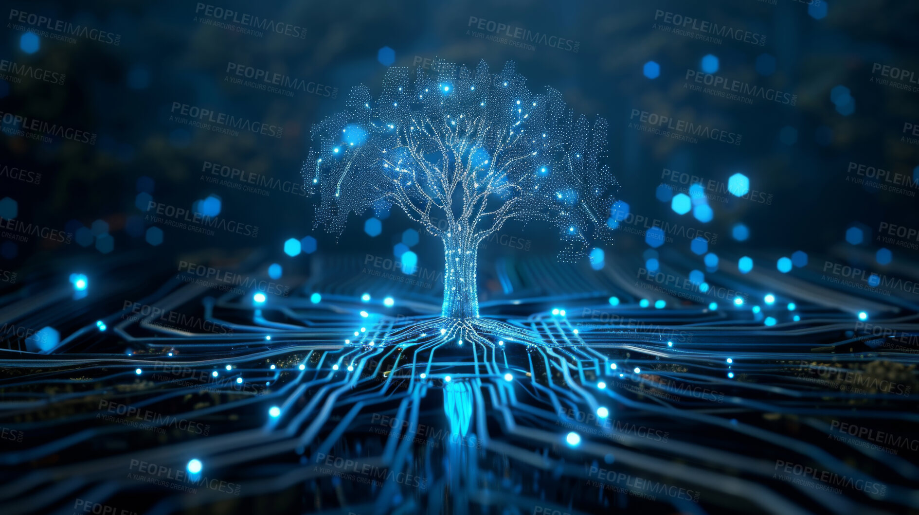 Buy stock photo Tree, tech and wireframe with innovation, future and internet with database and sustainability. Natural resources, connection and code for network development and electrical system with engineering