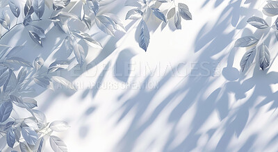 Wallpaper, space and shadow of leaves with texture for product placement, plants and background. Wall, light and empty with nature for creative design, pattern and sunshine on white background