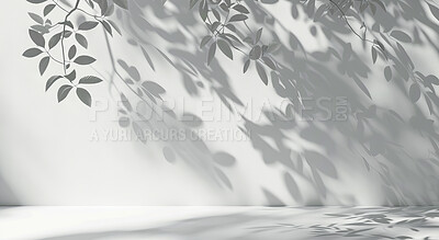Wall, black and white with leaves, shadow or artistic expression with nature on white background. Empty, monochrome or branch with sunshine, light or texture with leafs or plant with shade or pattern
