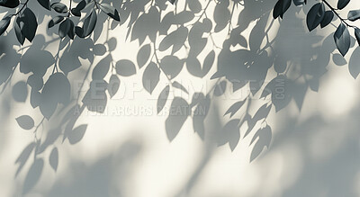 Black and white leaves, shadow and wallpaper for abstract, creative environment pattern with natural crisis. Silhouette, mockup and tree with cement wall background, dark art and art deco decoration