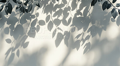 Buy stock photo Black and white leaves, shadow and wallpaper for abstract, creative environment pattern with natural plant. Silhouette, mockup and tree with concrete wall background, dark and art deco decoration