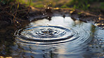 Water, puddle or ripple of environment, ecology or sustainability of climate change on earth day. Wallpaper, droplets or ground as global warming, sustainable farming or crisis of natural wet weather