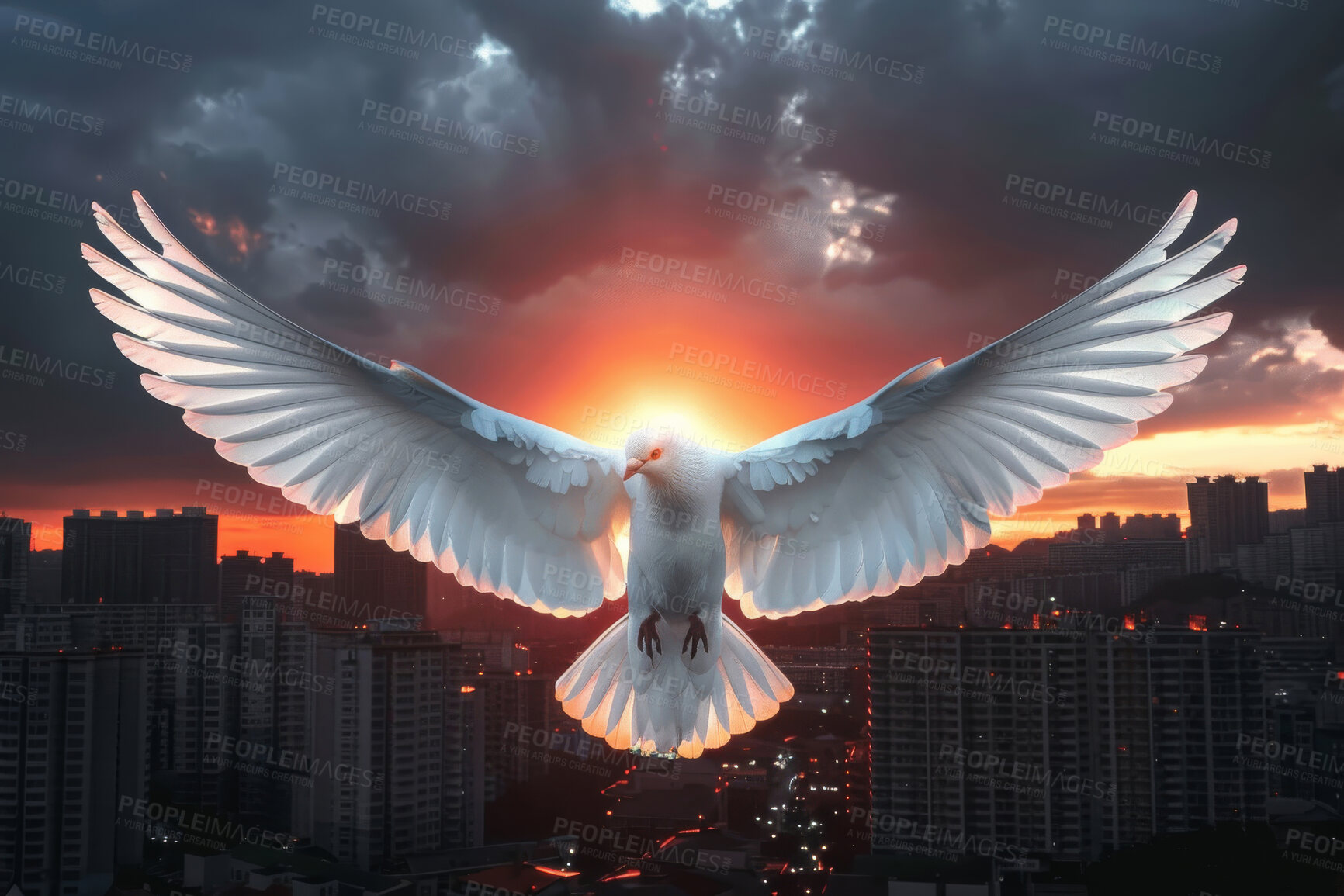 Buy stock photo Bird, city and hope of heaven, peace or promise at sunset with gray sky for faith or religion. Abstract, belief and spiritual with dove flying in air of urban town as symbol of Christian worship