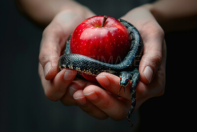 Hands, red apple and snake as pet for danger or power with wisdom, control and poison or sin. Fruit, knowledge and temptation with spirituality or nature for healing, domesticate and influence