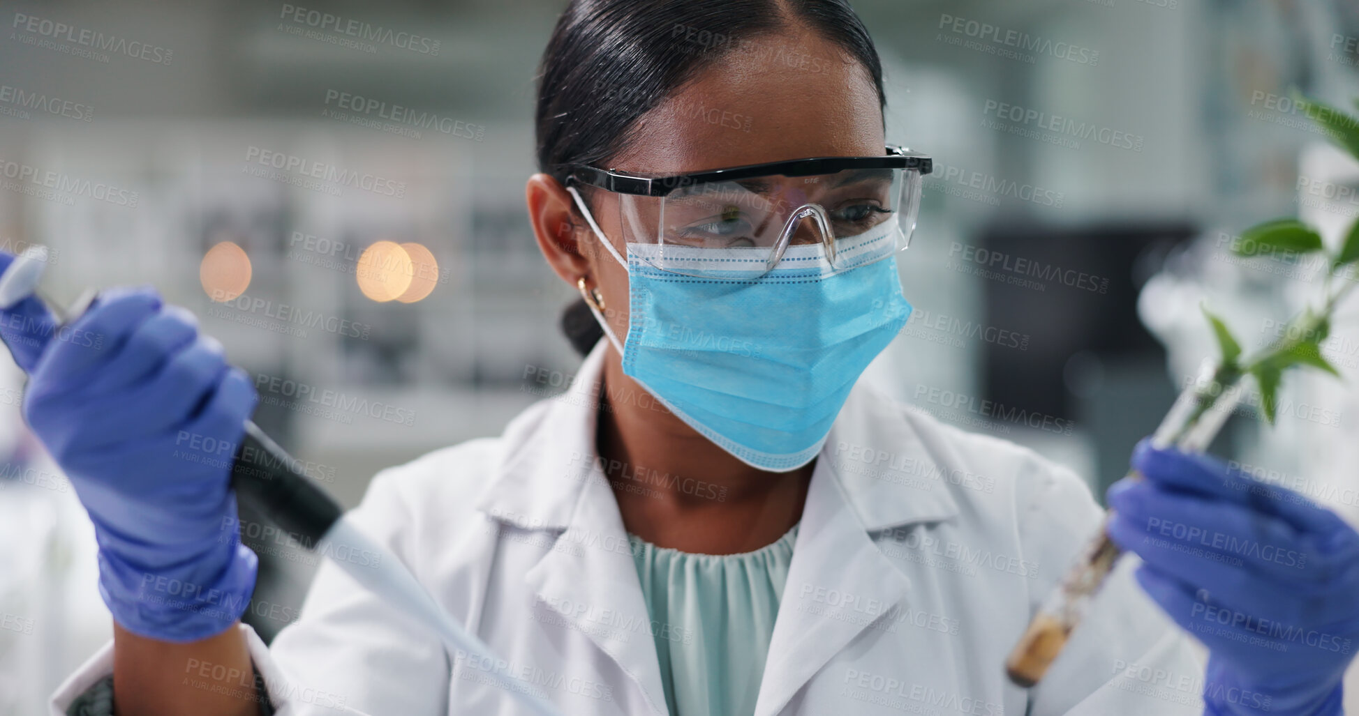 Buy stock photo Science, mask and woman with plants in test tube in laboratory for research, safety and medical engineering. Biotech, botany and leaves in glass, scientist or lab technician in checking agro study