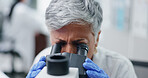 Science, microscope and woman closeup in lab with research in biotechnology and chemistry test. Mature, scientist and check analysis of pharmaceutical results and learning from molecule in bacteria